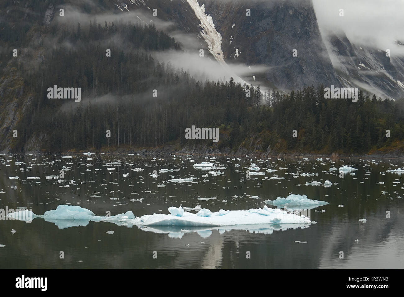 Paesaggio di Tracy braccio fiordi in Alaska Stati Uniti Foto Stock