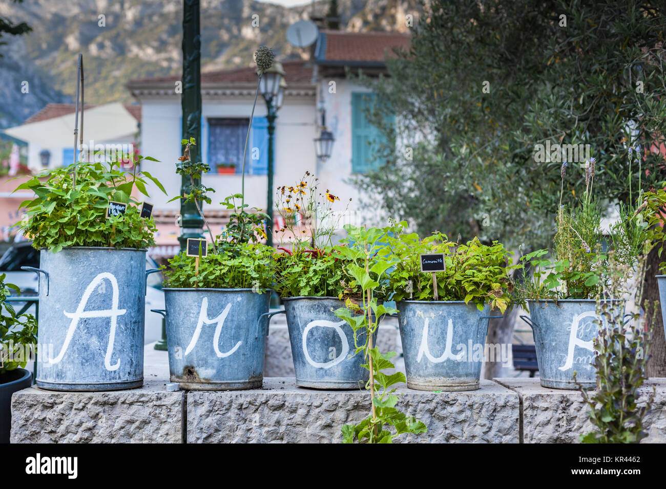 Amore lettere scritte su vasi di fiore in francese Foto Stock