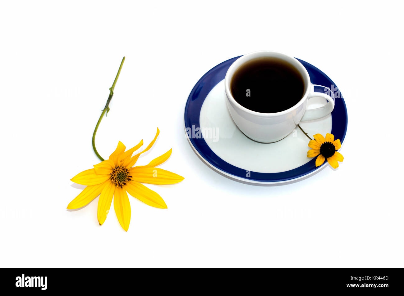 La tazza di caffè decorato con due fiori gialli ancora una vita, isolare Foto Stock