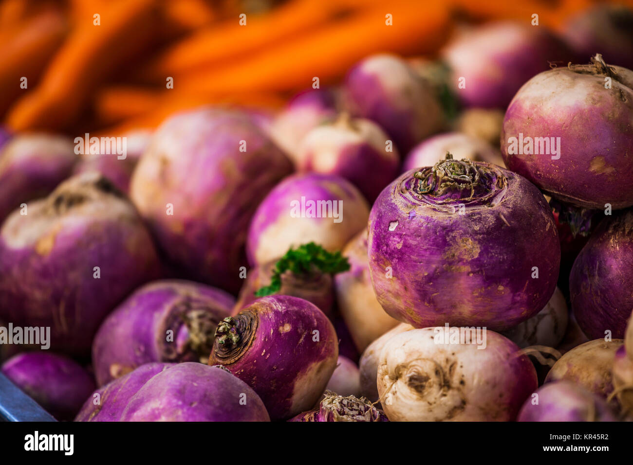 Close-up di viola e bianco sullo sfondo di cipolla al mercato francese Foto Stock