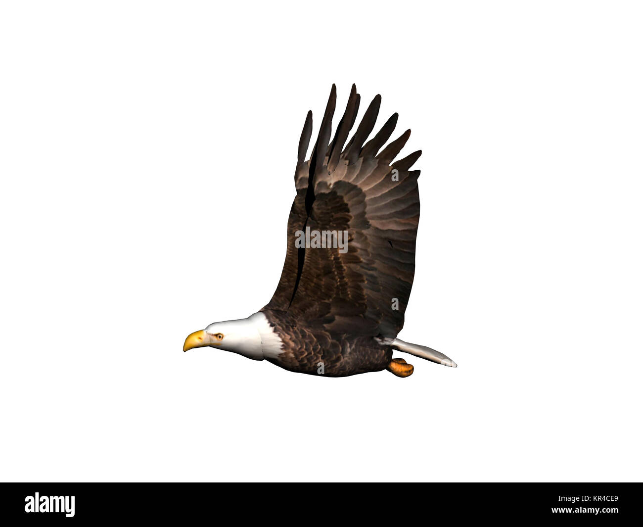 Eagle vola attraverso l'aria Foto Stock