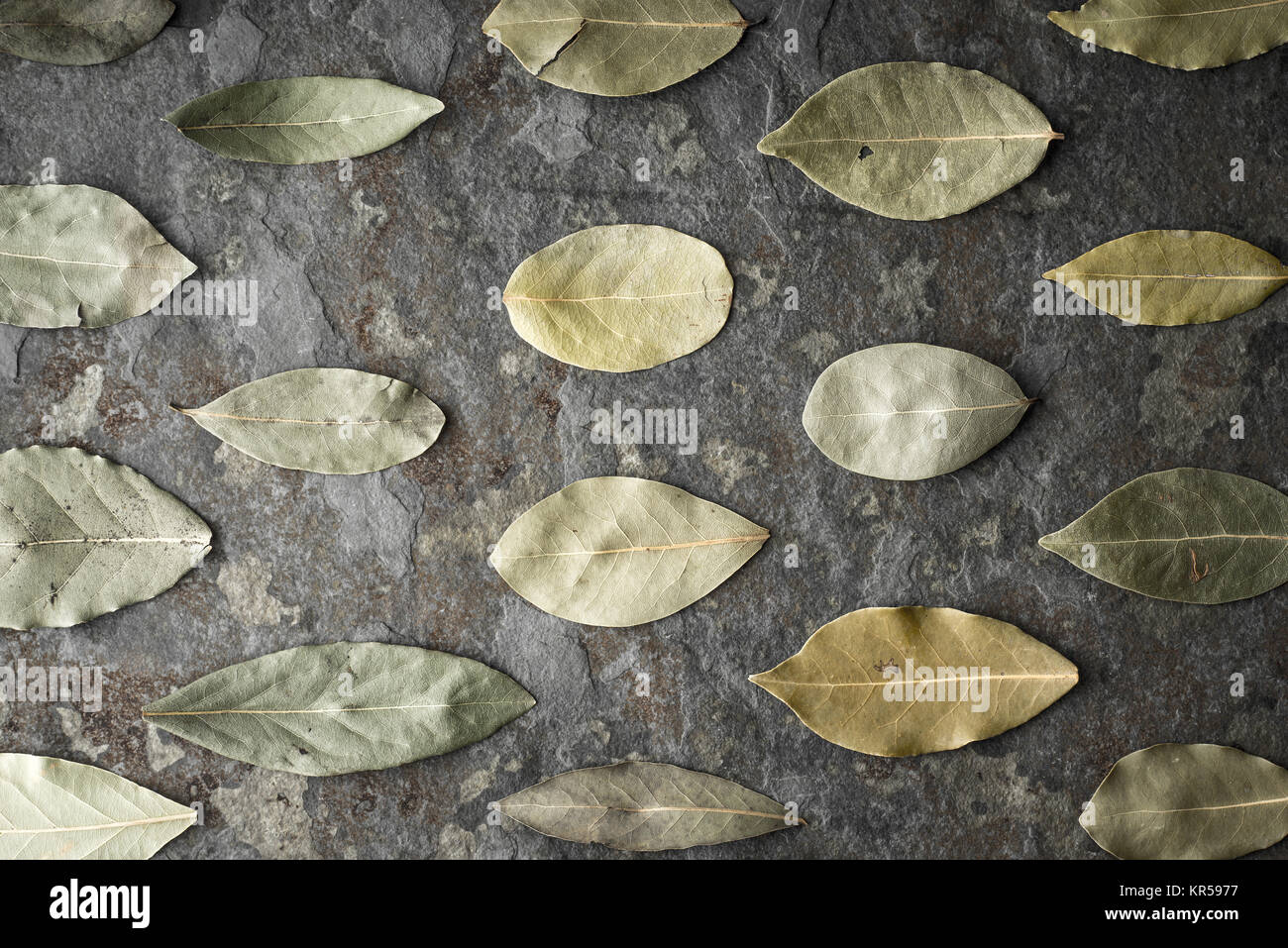 Le foglie di un albero di alloro sul tavolo di pietra Foto Stock