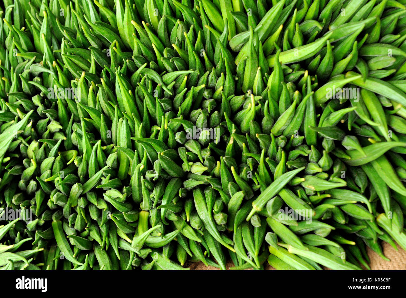 Il Pepe verde sul mercato in Sri lanka Foto Stock