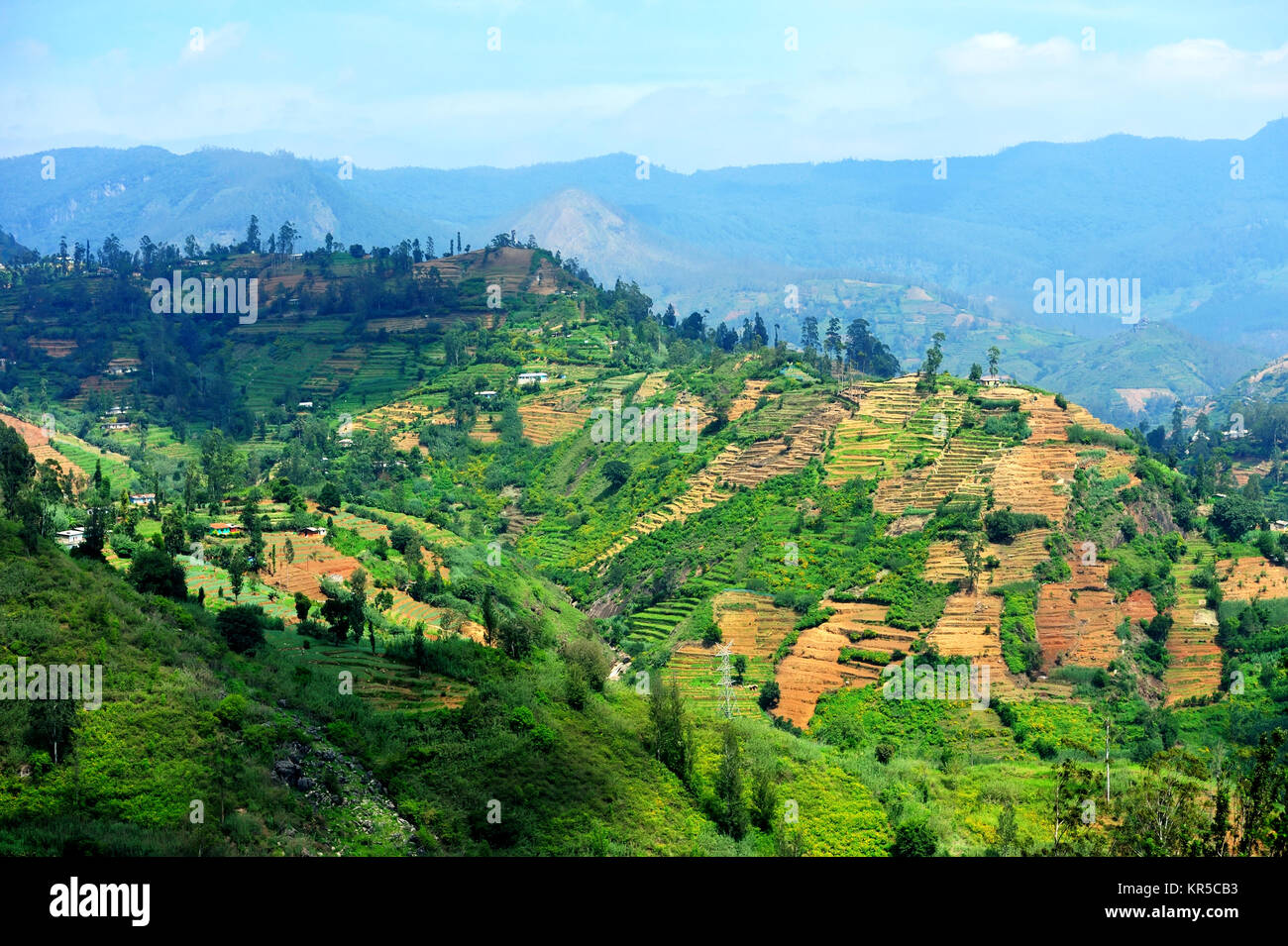 Sri Lanka paesaggio Foto Stock