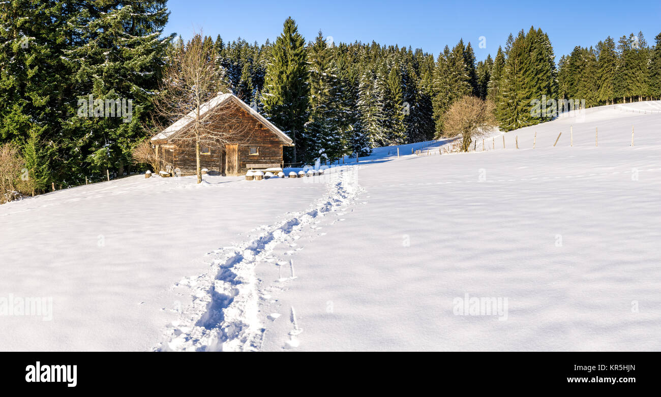 Orme nella neve che conduce alla vecchia cabina in legno e foresta. Allgau, Baviera, Germania, Alpi. Foto Stock