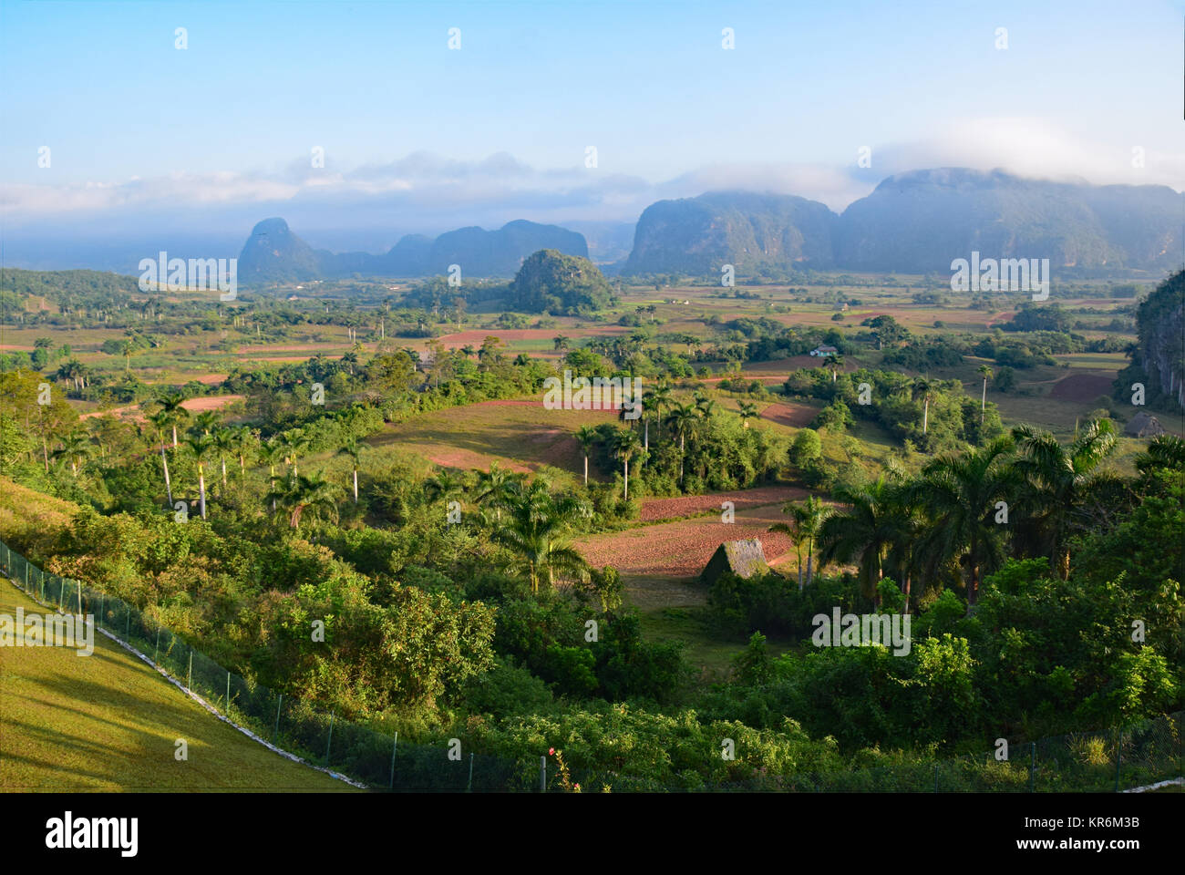 paesaggio carsico a cono su cuba Foto Stock