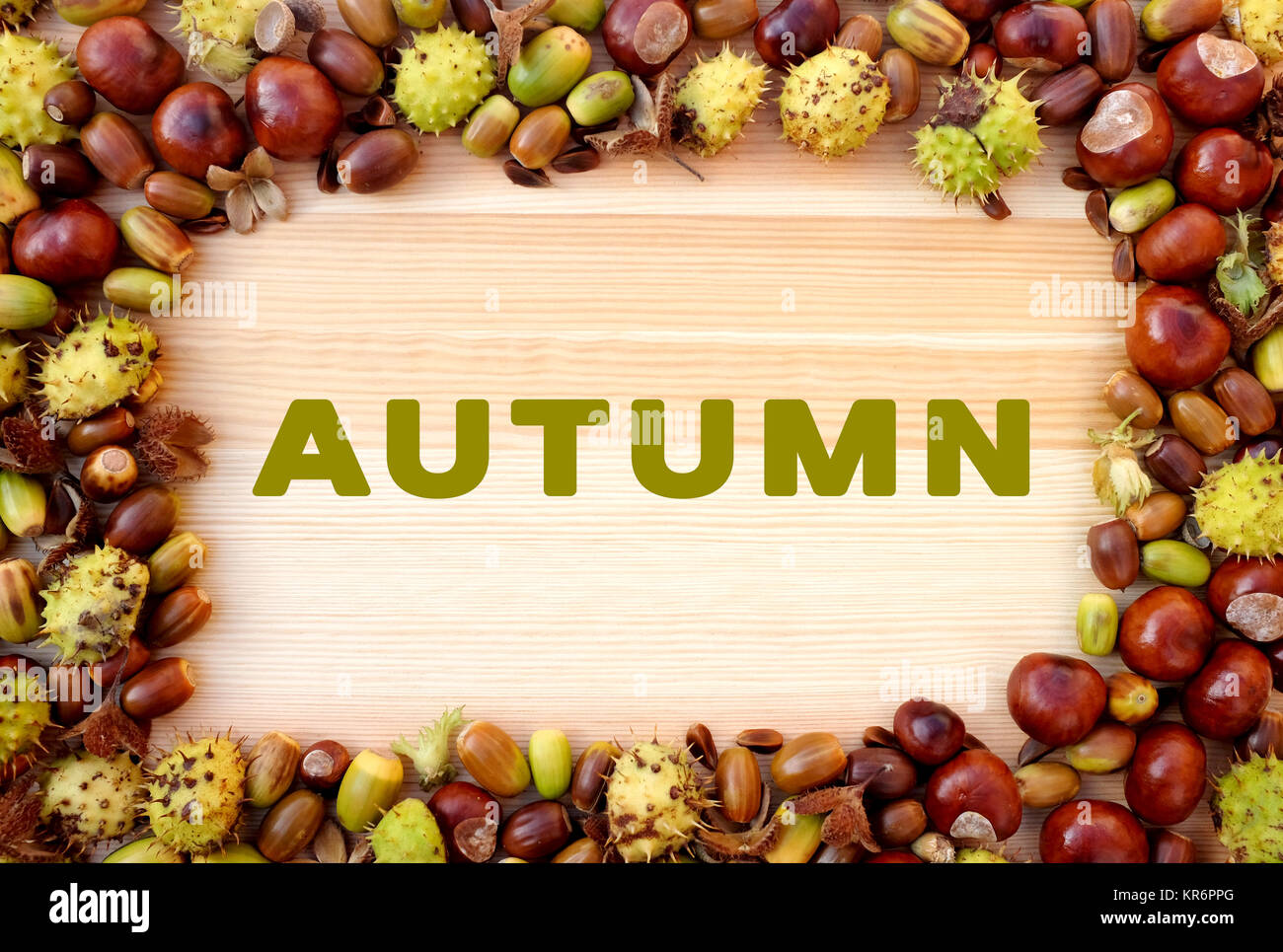 Autunno scritto su legno con bordo di beechnuts, conkers, ghiande Foto Stock