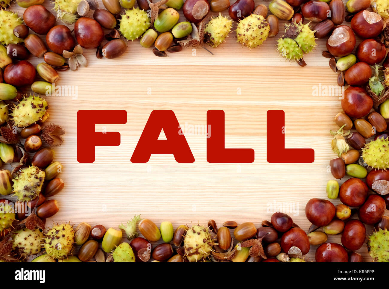 Caduta scritto su legno con bordo di beechnuts, conkers, ghiande Foto Stock