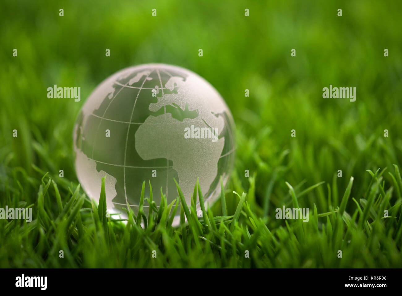 Globo di cristallo sul prato verde. Mondo concetto ambientale Foto stock -  Alamy