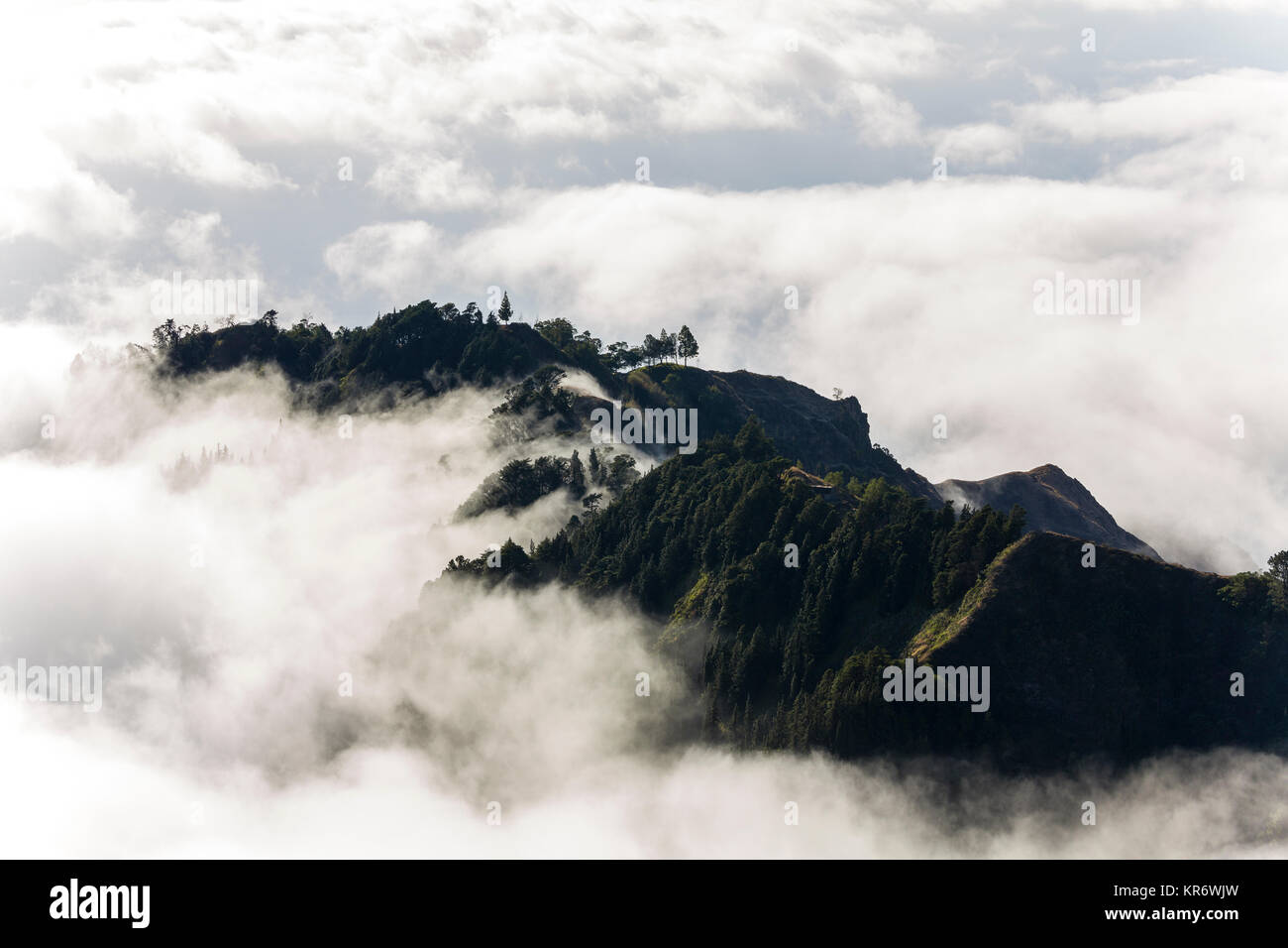 Vista aerea di lussureggianti montagne su un'isola, circondato dalle nuvole. Foto Stock