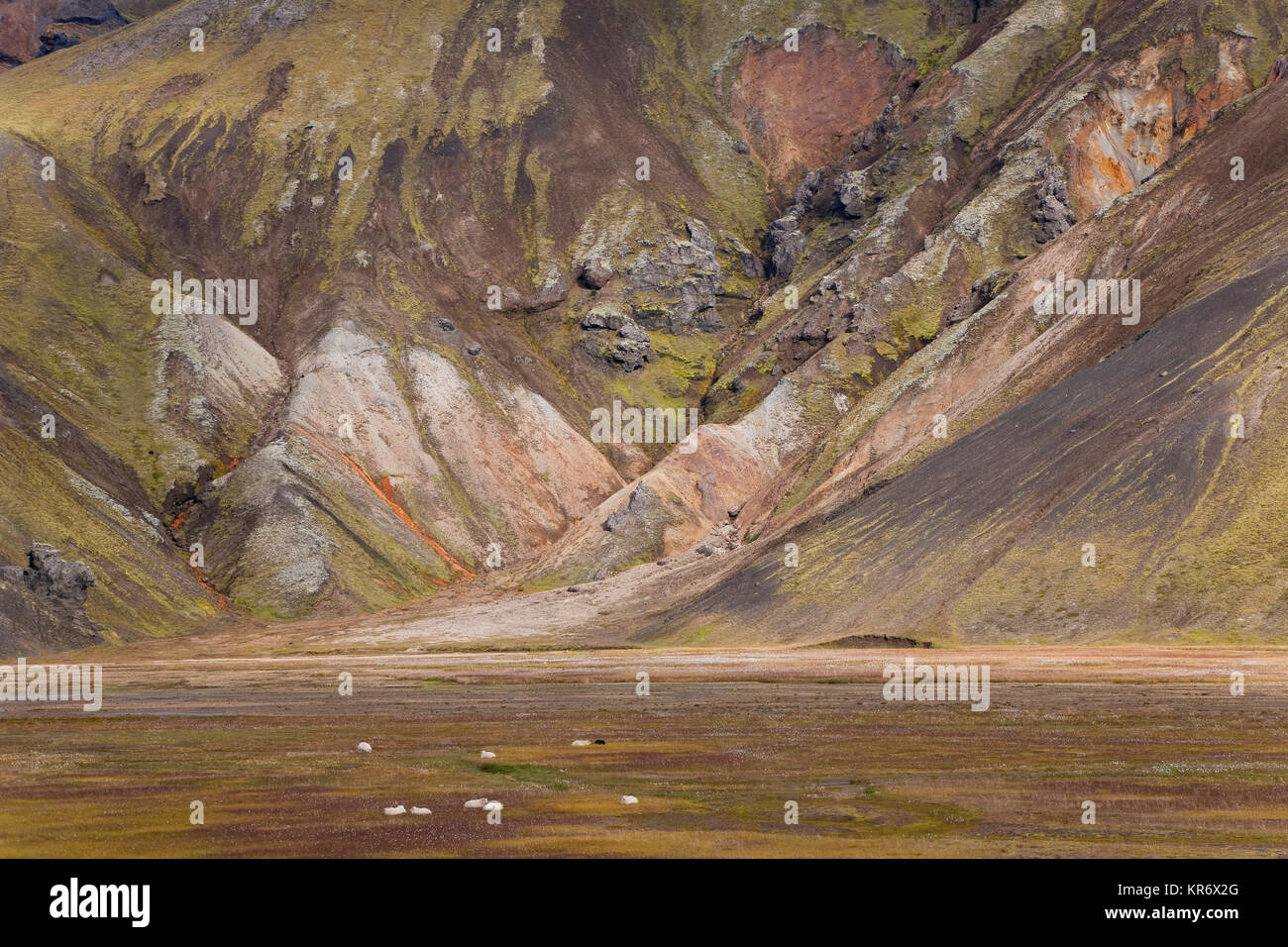 Paesaggio con montagne e un piccolo gregge di pecore in una valle. Foto Stock