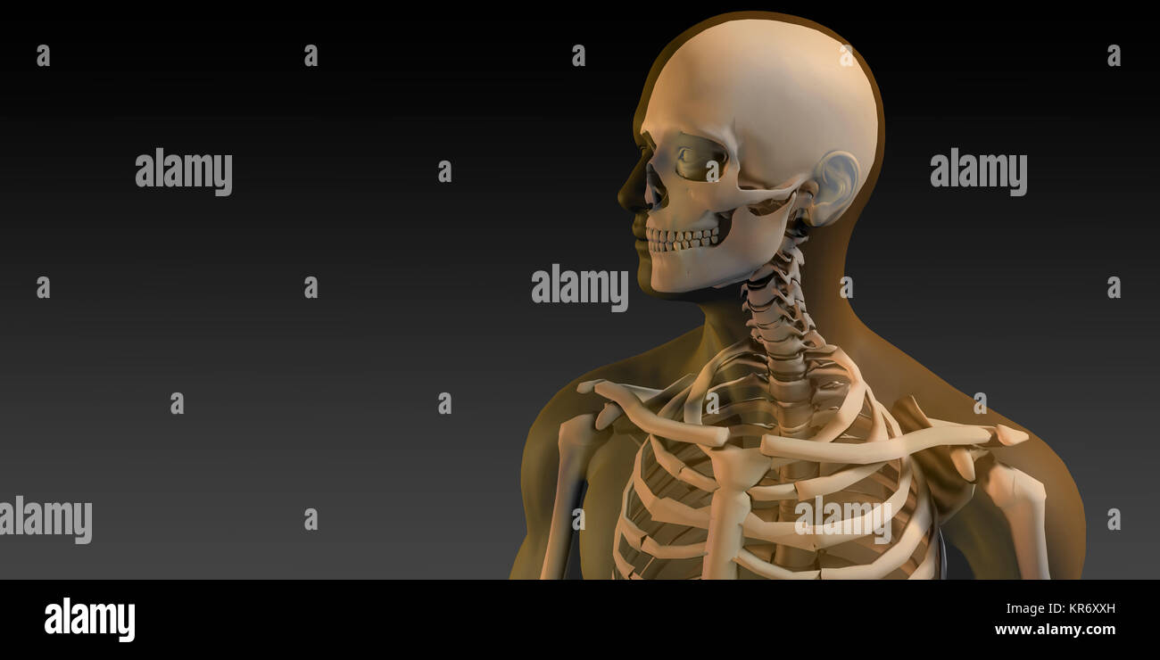 3D Concetto di Essere Umano corpo maschio e lo scheletro Foto Stock