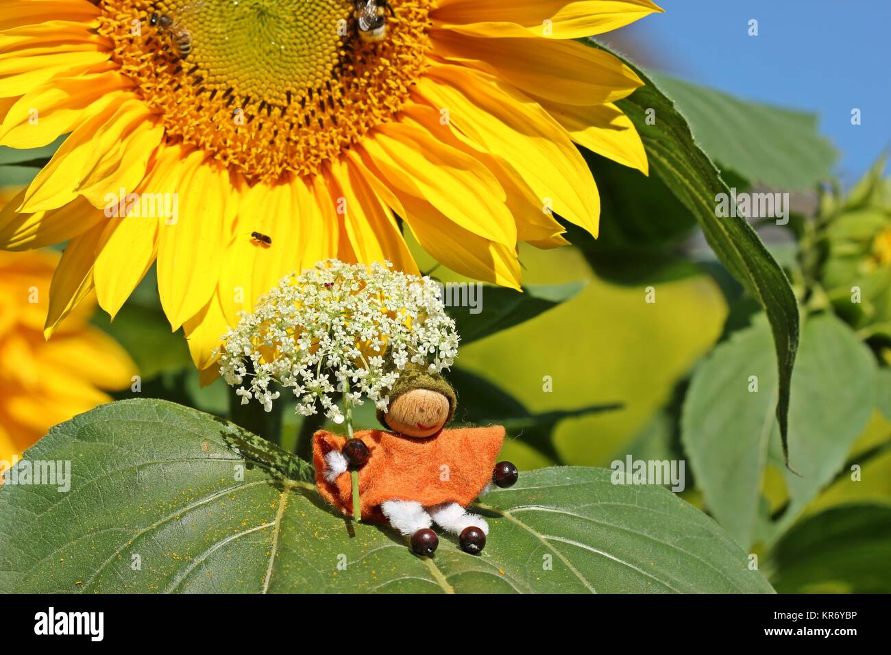 Piccolo gnomo con fiore ombrello seduta sulla foglia di semi di girasole Foto Stock