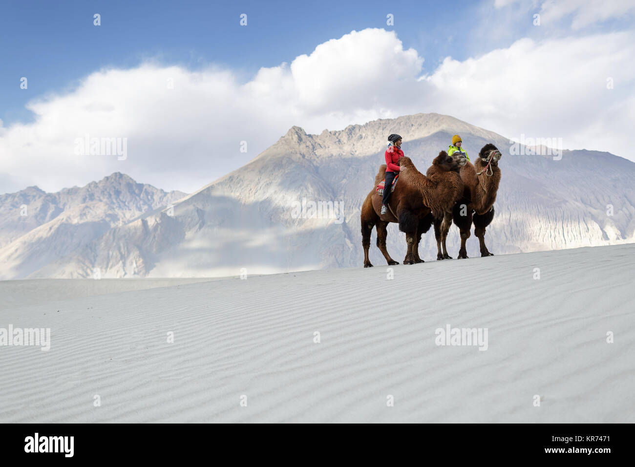 Madre e figlio in sella a doppia gobba cammelli e attraversando il deserto nella Valle di Nubra, Ladakh, Jammu e Kashmir India Foto Stock