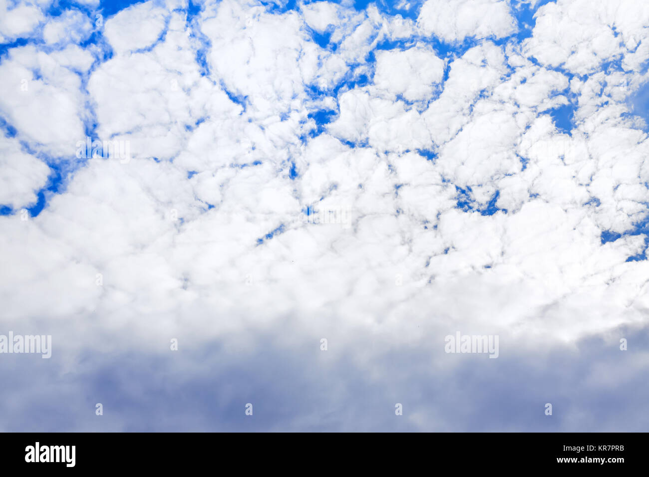 Paesaggio estivo dal cielo blu con nuvole bianche. sfondo astratto da cirrus cumulus nubi. Foto Stock