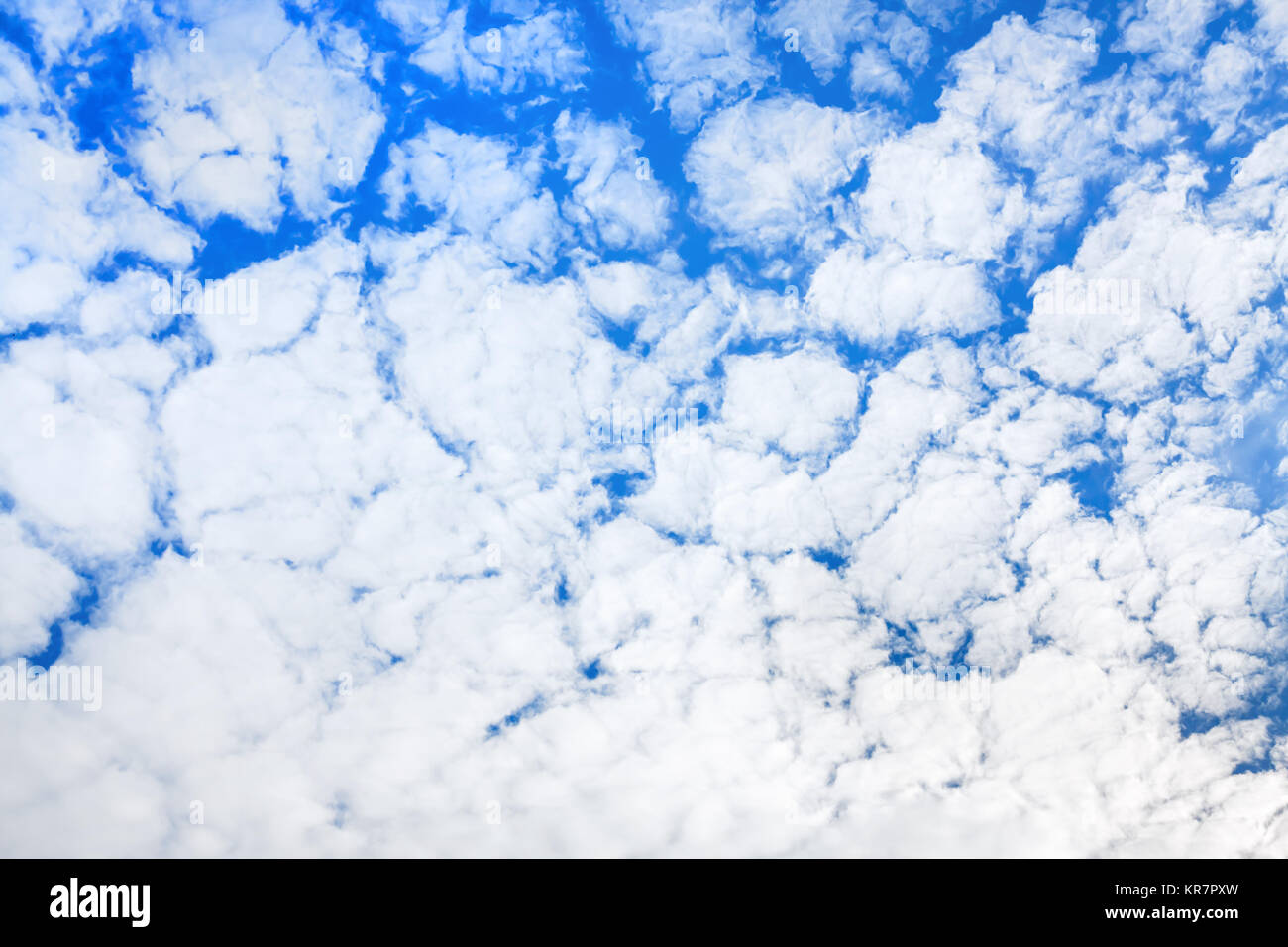 Paesaggio estivo dal cielo blu con nuvole bianche. sfondo astratto da cirrus cumulus nubi. Foto Stock