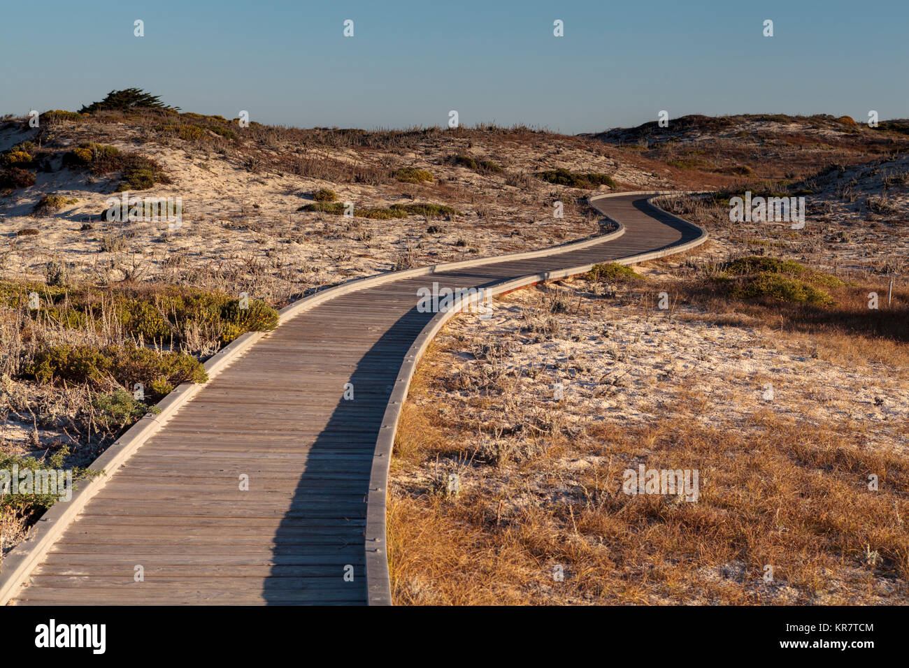 Stato Asilomar spiaggia vicino Pacific Grove Foto Stock