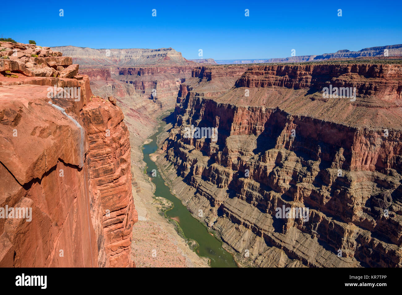Toroweap si affacciano, il Parco Nazionale del Grand Canyon in Arizona, Stati Uniti d'America. Si tratta di 3000 piedi sopra il fiume Colorado, caduta diritta verso il basso dalla parte superiore. Foto Stock