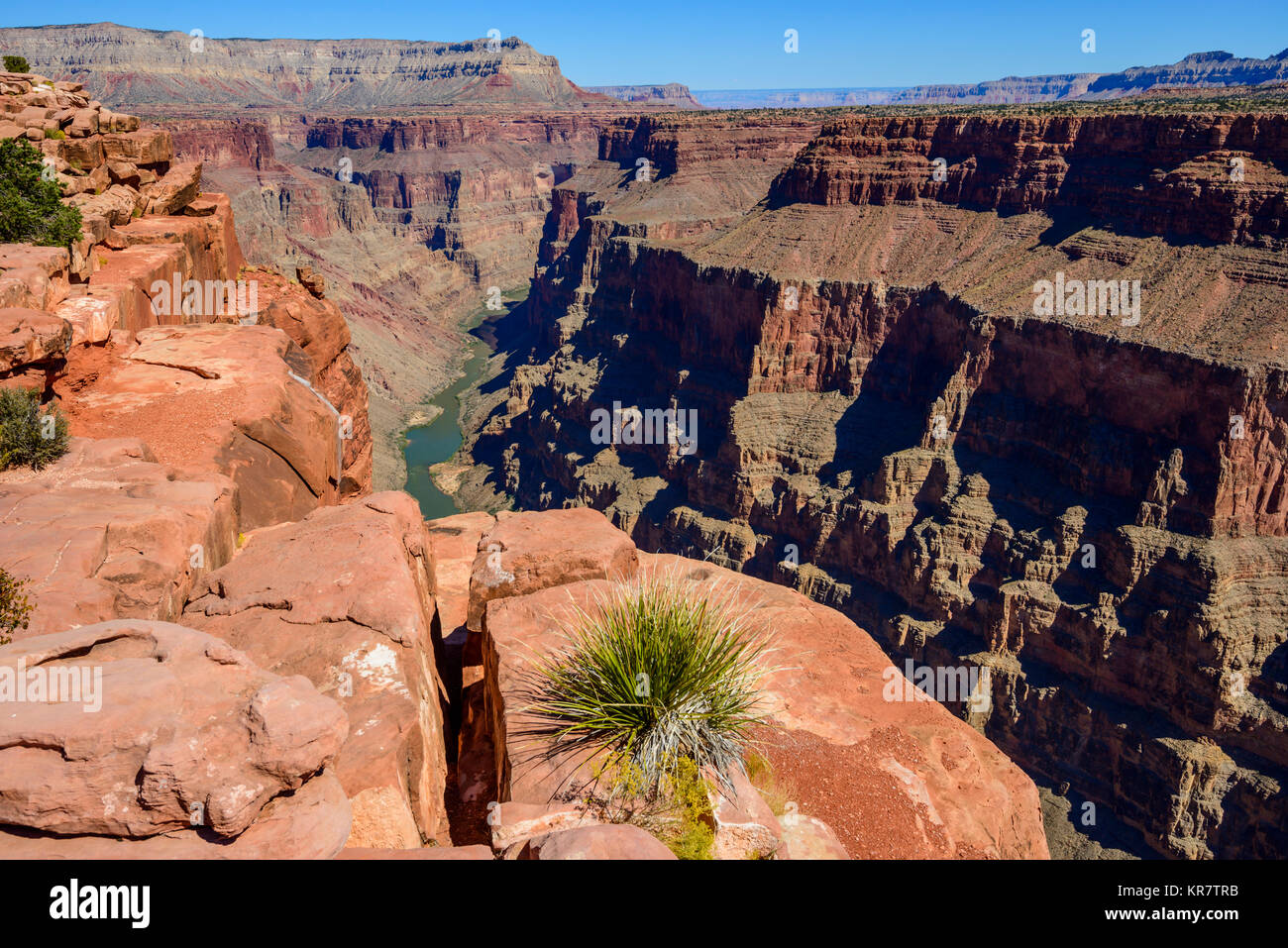 Toroweap si affacciano, il Parco Nazionale del Grand Canyon in Arizona, Stati Uniti d'America. Si tratta di 3000 piedi sopra il fiume Colorado, caduta diritta verso il basso dalla parte superiore. Foto Stock