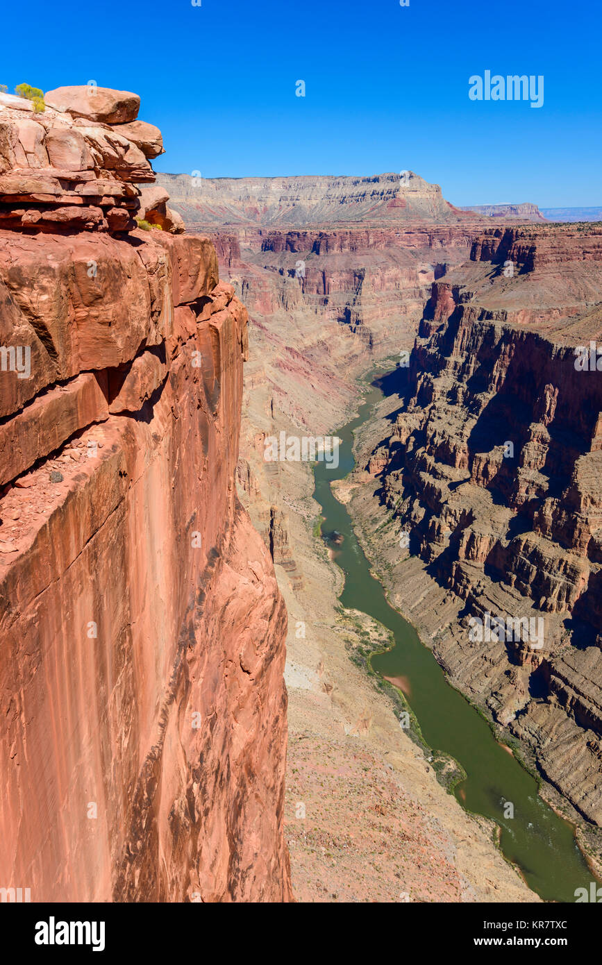 Toroweap si affacciano, il Parco Nazionale del Grand Canyon in Arizona, Stati Uniti d'America. Si tratta di 3000 piedi sopra il fiume Colorado, caduta diritta verso il basso dalla parte superiore. Foto Stock