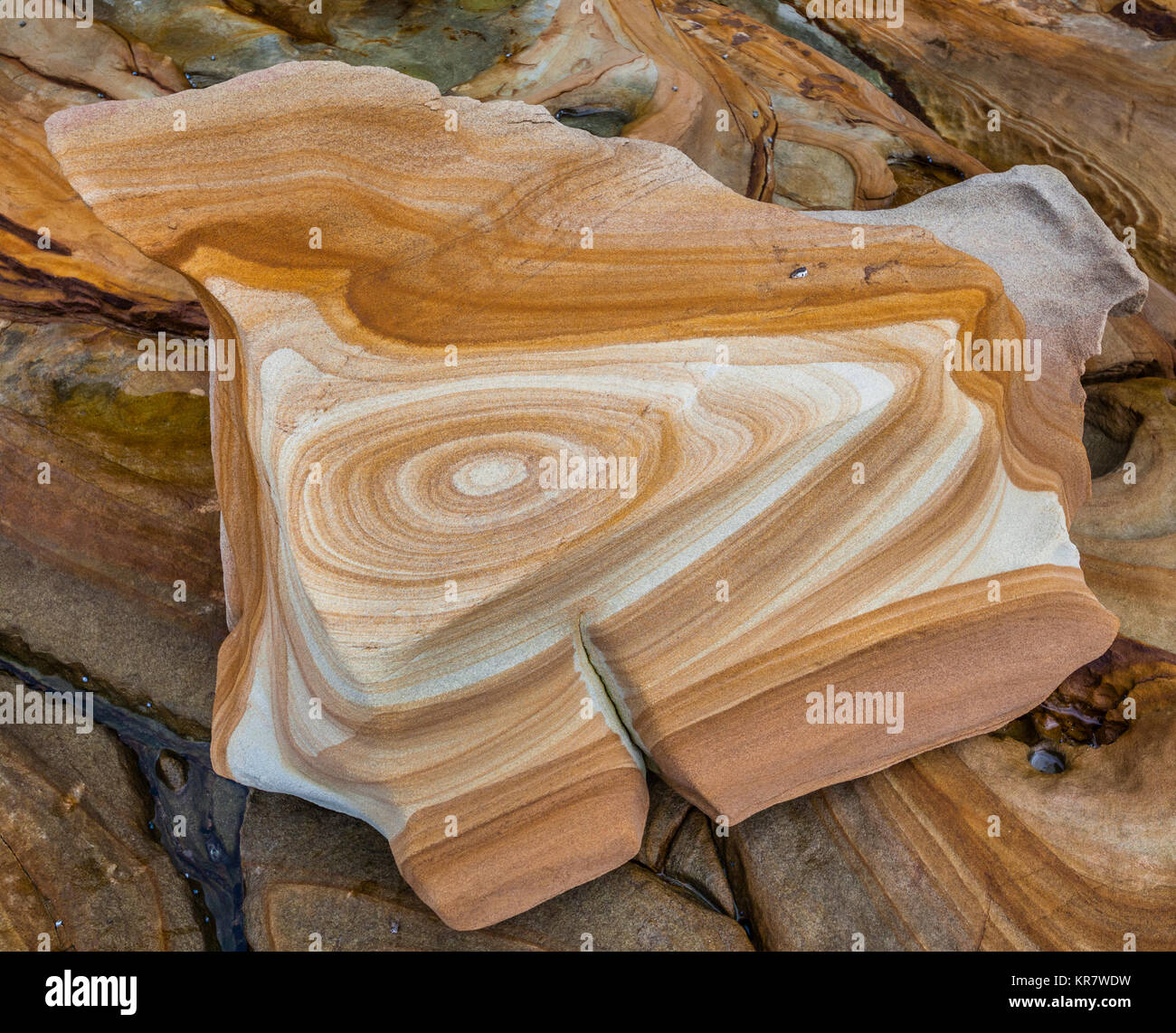 Australia, Nuovo Galles del Sud, Central Coast, Bouddi National Park, gli anelli di Liesegang in un Hawkesbury masso di arenaria a Maitland Bay Foto Stock