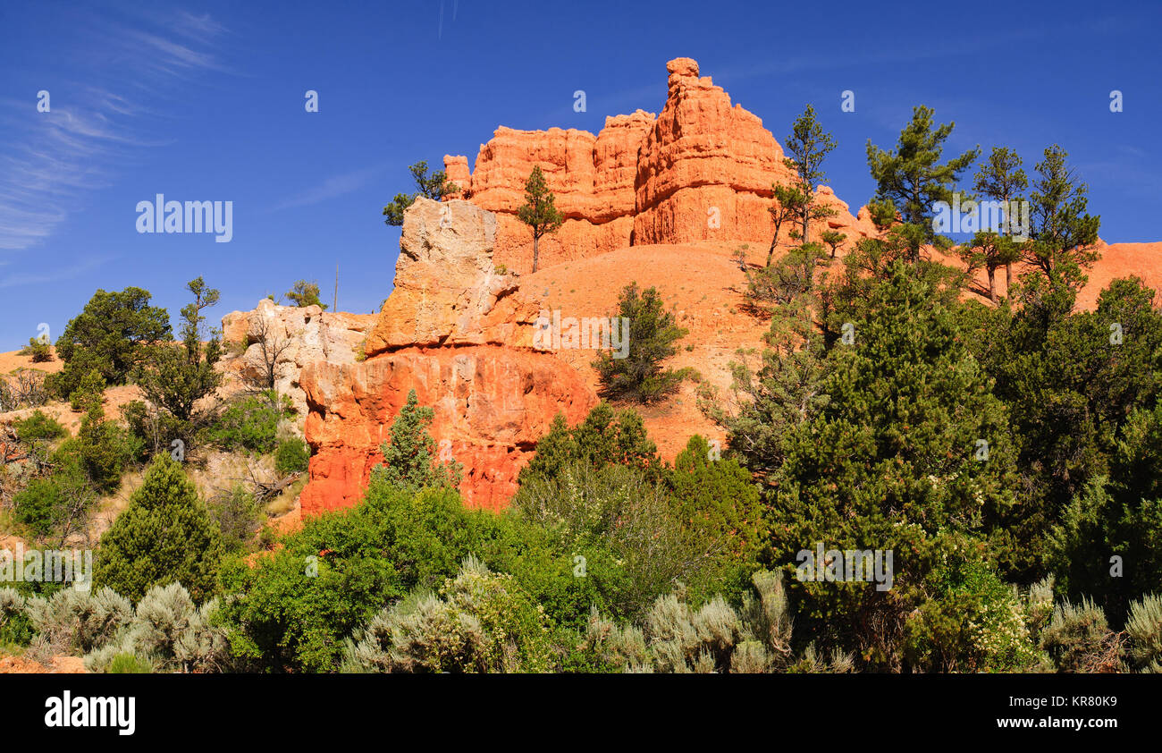 Red rock formazione in Cedar Breaks National Park nello Utah Foto Stock