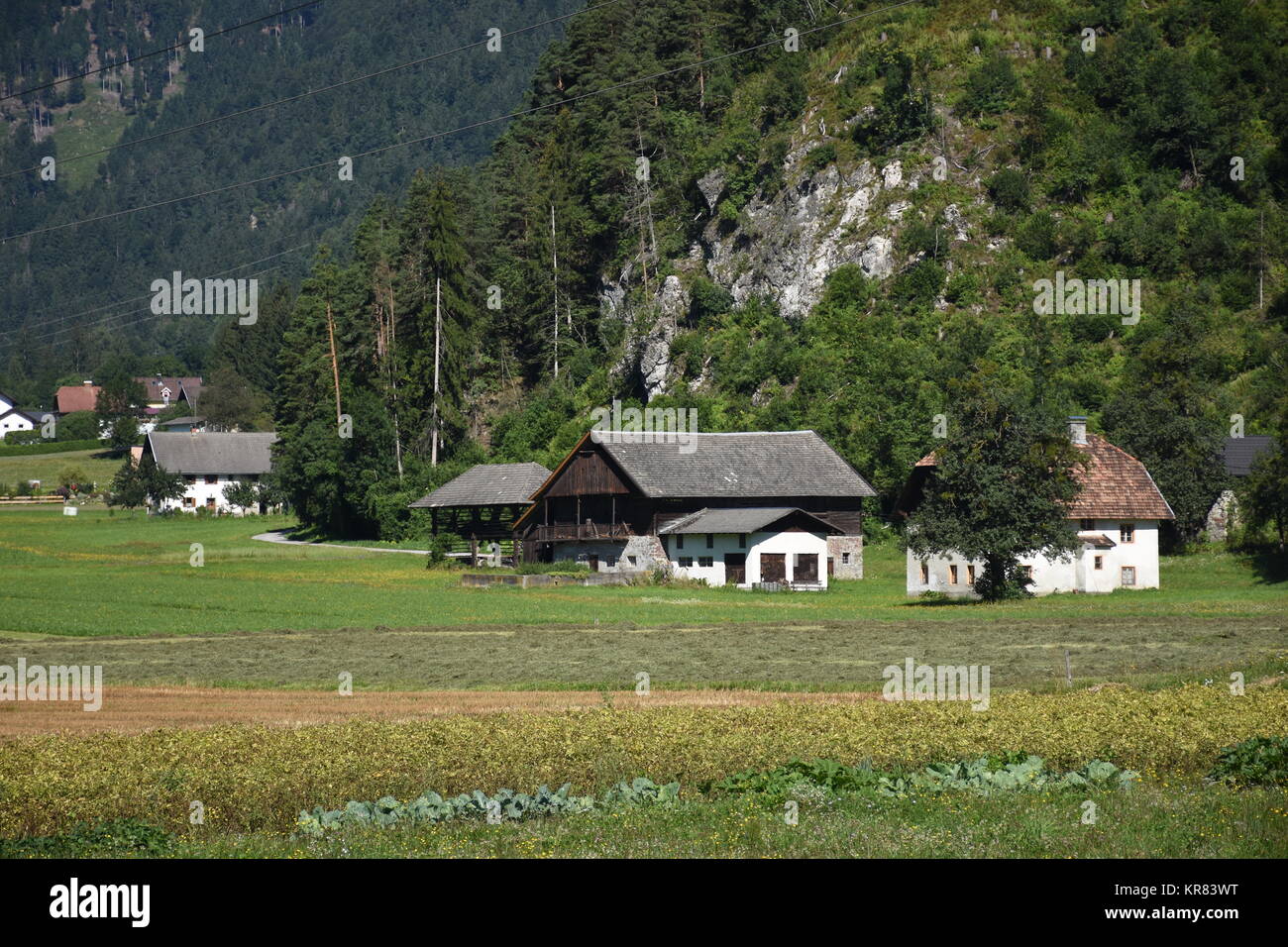 Simmerlach,deer,village,l'agricoltura,campo,agriturismo,fiori,prato Foto Stock