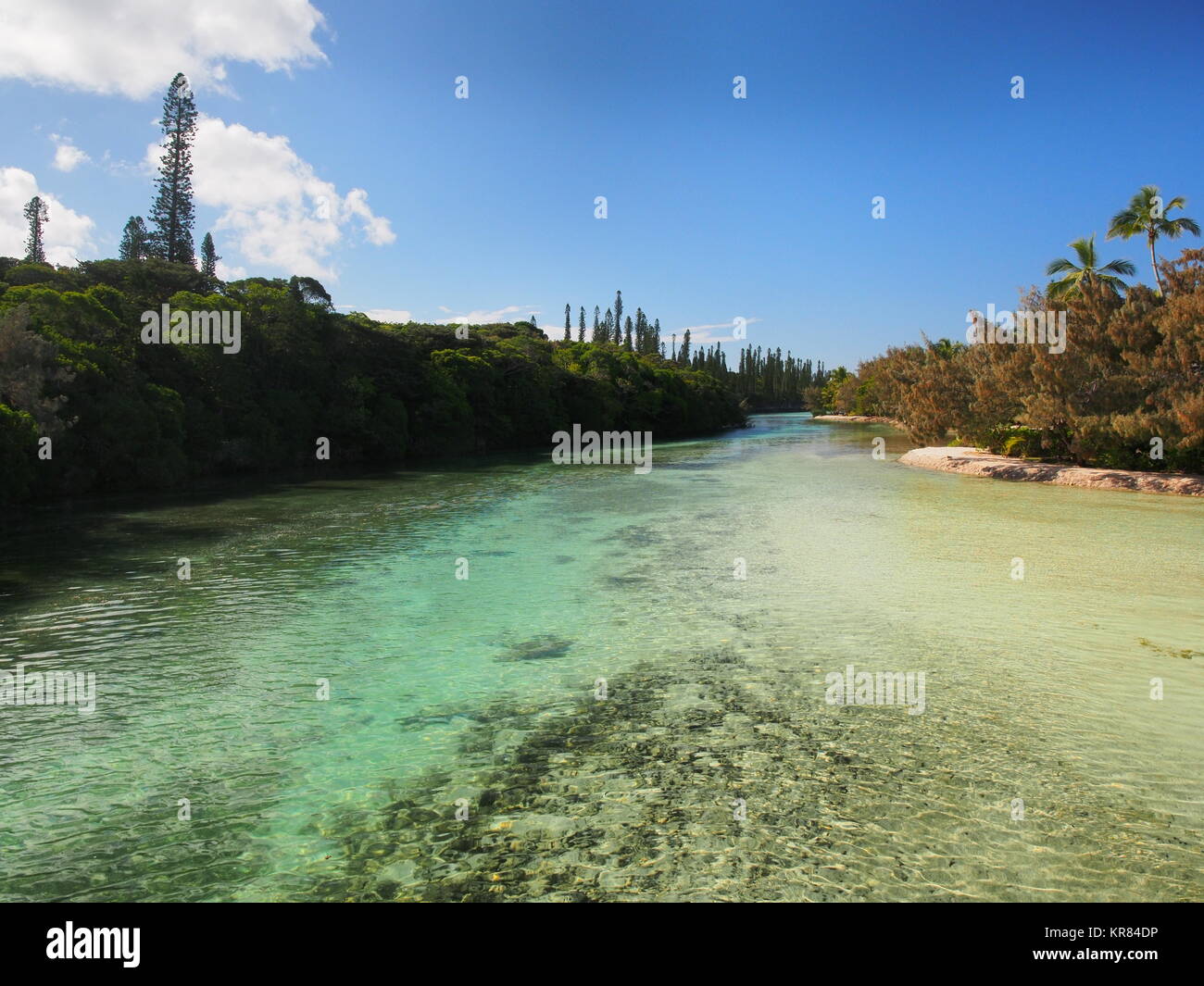 Ingresso di acqua da qualche parte attorno all'acquario naturale, Isola dei Pini, Nuova Caledonia Foto Stock