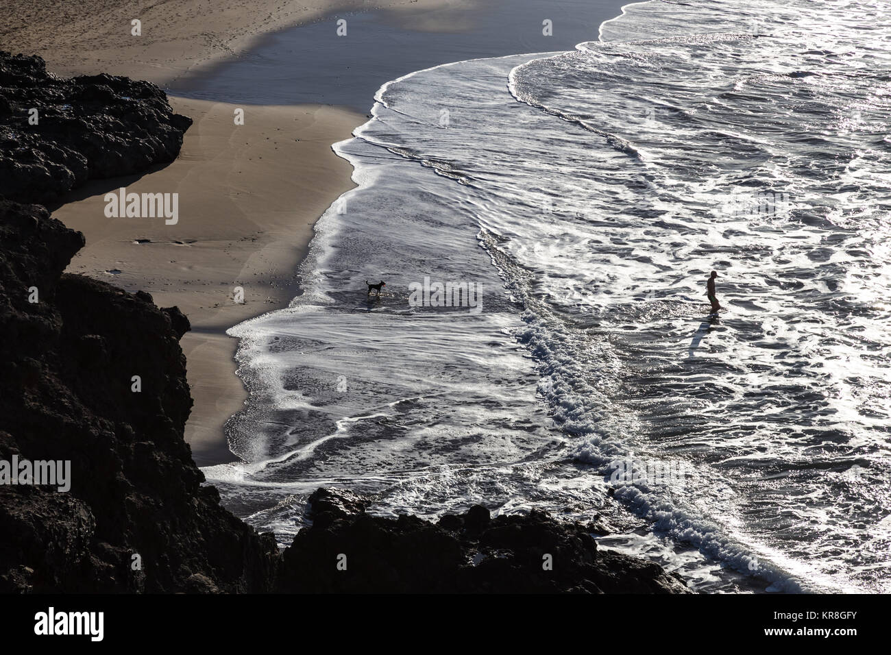 Silhouette di uomo e cane divertirsi sul mare. Foto Stock