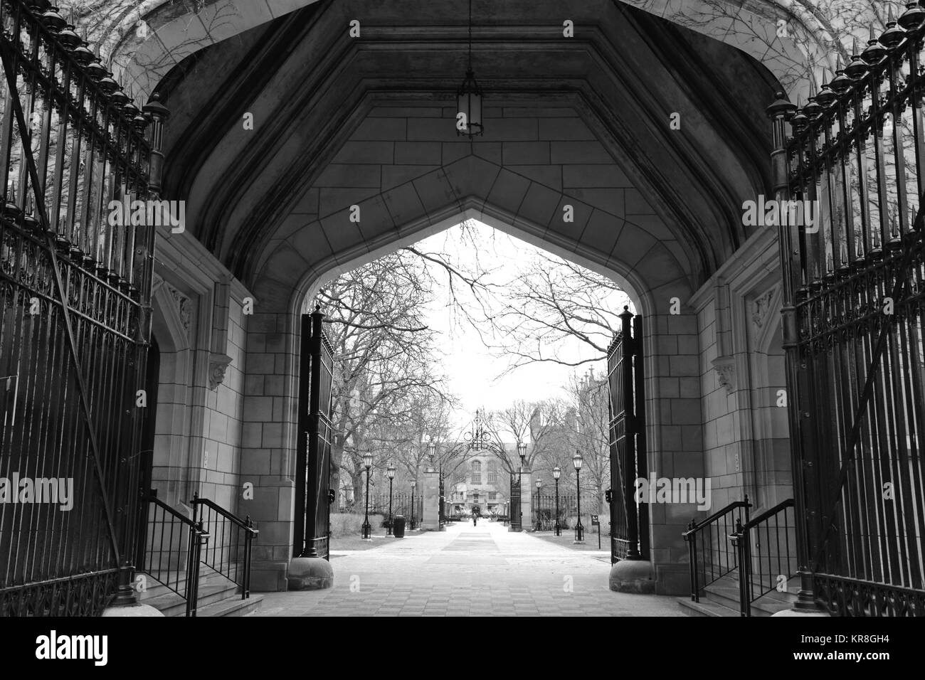 Cobb Gate fornisce la voce per il quadrangolo principale presso l'Università di Chicago ed è una delle strutture originali sul campus, completato nel 1897. Foto Stock