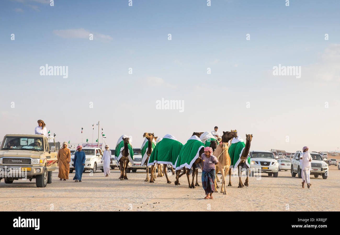 Madinat Zayed, Emirati arabi uniti, Dicembre 15th, 2017: uomo arabo con il suo cammello nel deserto Foto Stock