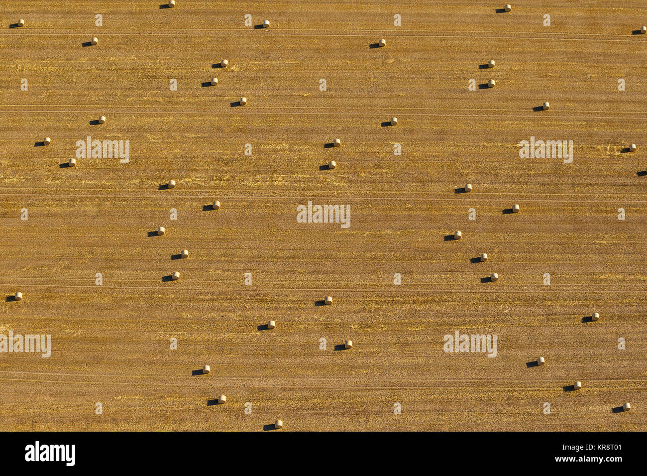 Spumantizzato raccolte campi di mais con le balle di paglia, rotoli di paglia, raccolto cornfield giallo, motivo grafico, rotoli di paglia, vista aerea di Emmerich am Rhein Foto Stock