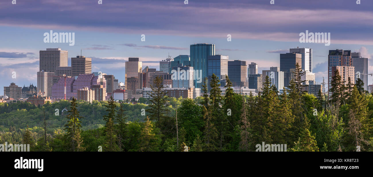 Canada, Alberta, Edmonton, paesaggio con alberi in primo piano Foto Stock