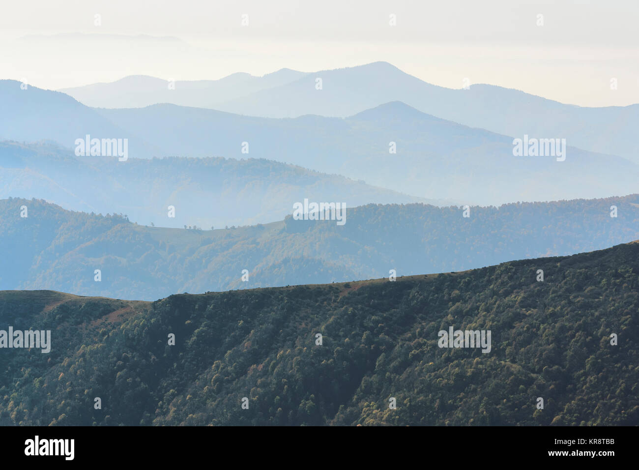 Ucraina, regione Zakarpattia, Rakhiv distretto, Carpazi, Chornohora, paesaggio di montagna con nebbia Foto Stock