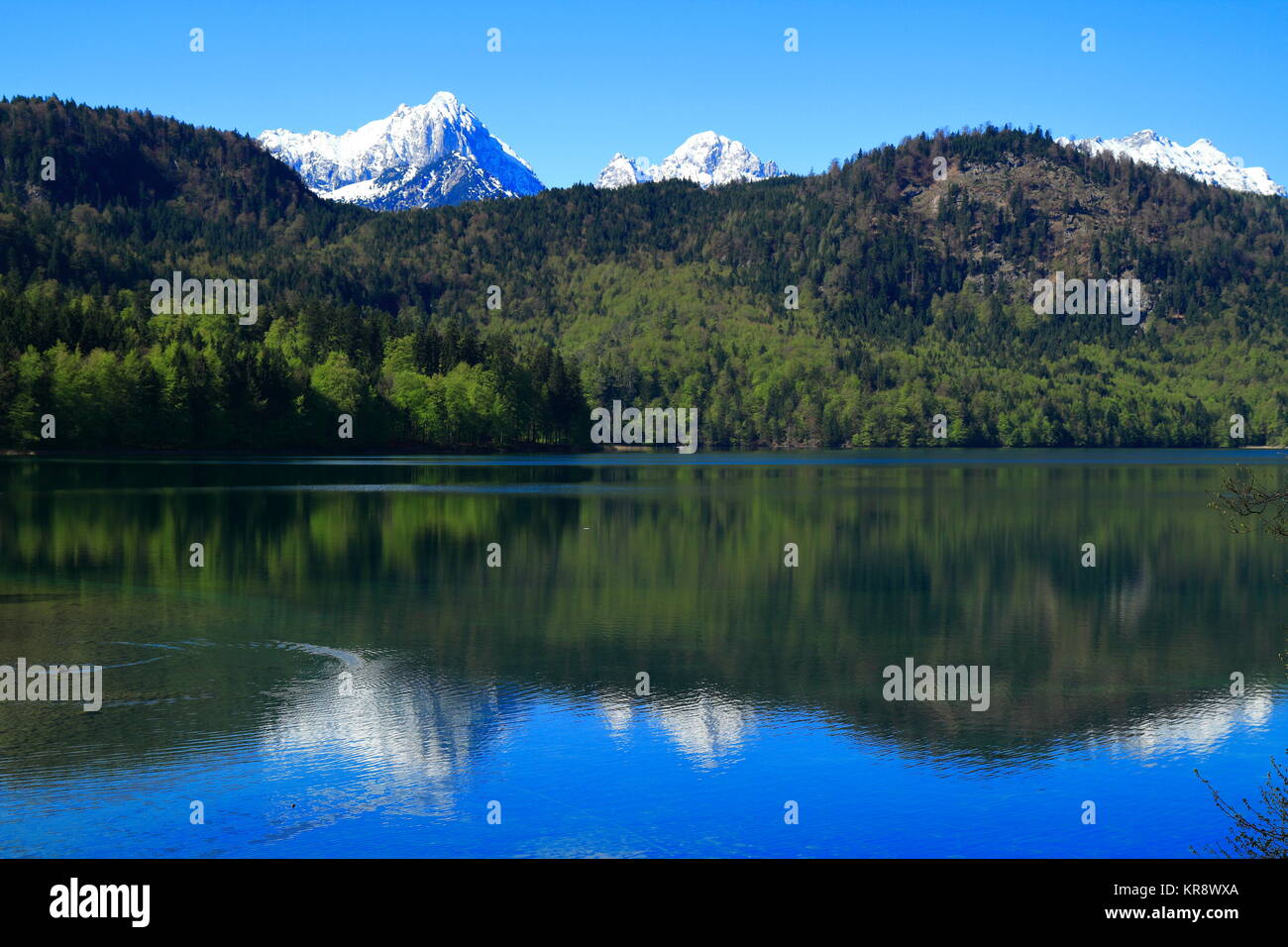 Hohenschwangau Alpsee e lago vista dal Castello di Neuschwanstein Foto Stock