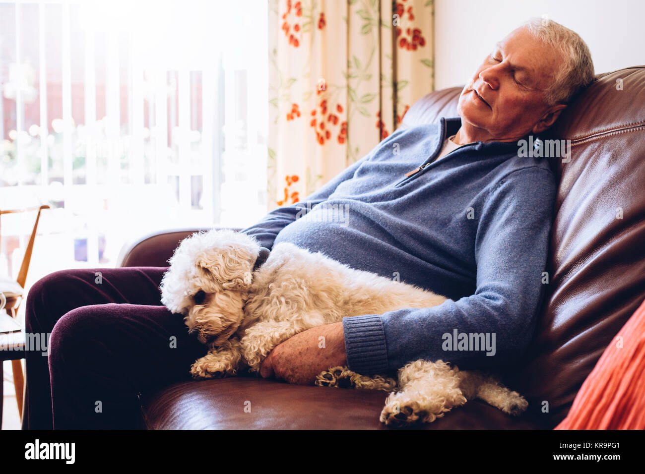 Pisolino pomeridiano con il cane Foto Stock