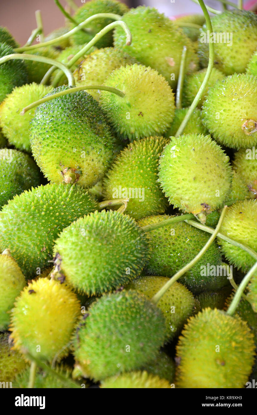 Raw zucca spinosa Foto Stock