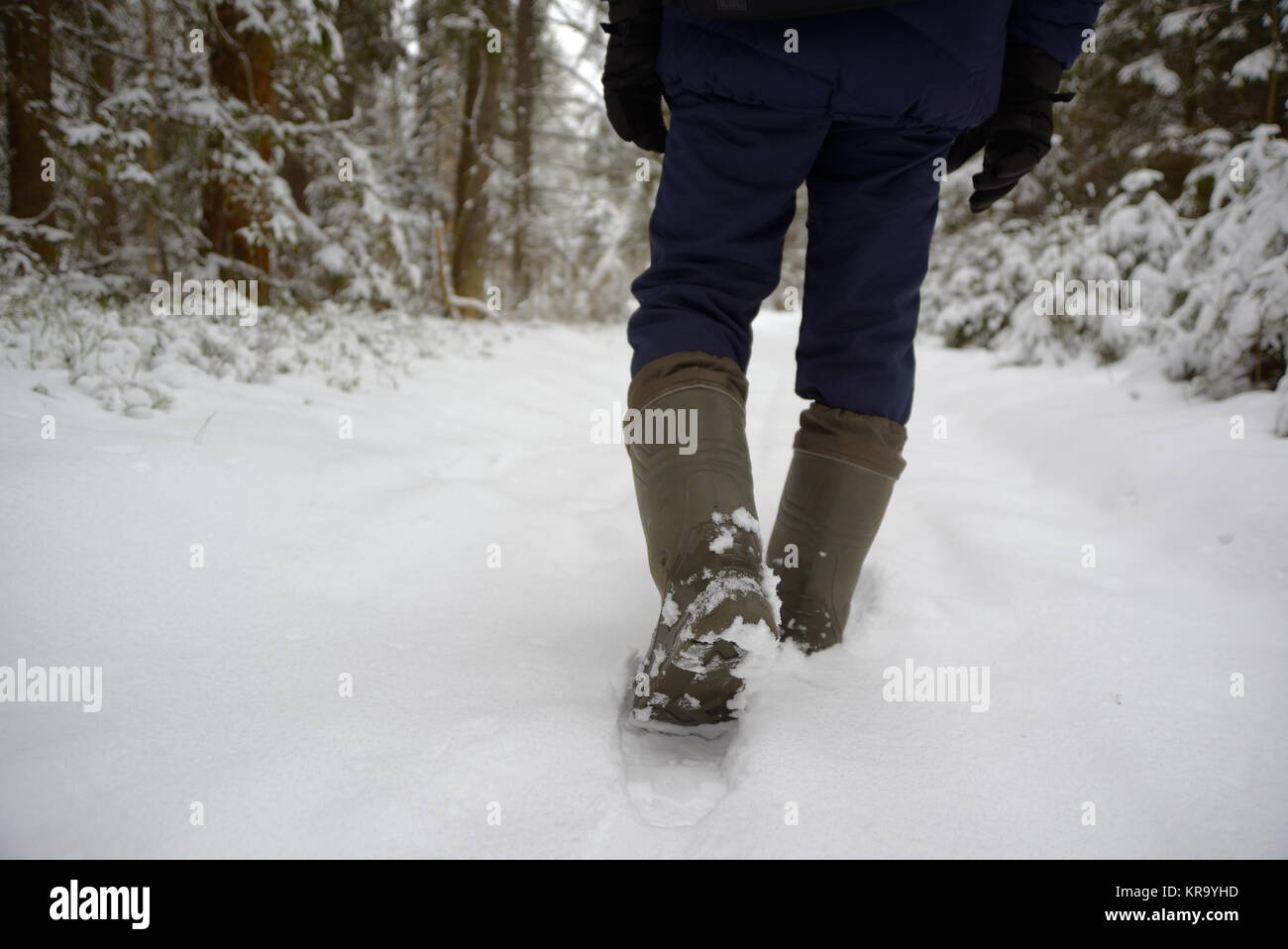 Gli uomini per le gambe in stivali da vicino la coperta di neve il percorso  nel bosco invernale, vista posteriore Foto stock - Alamy