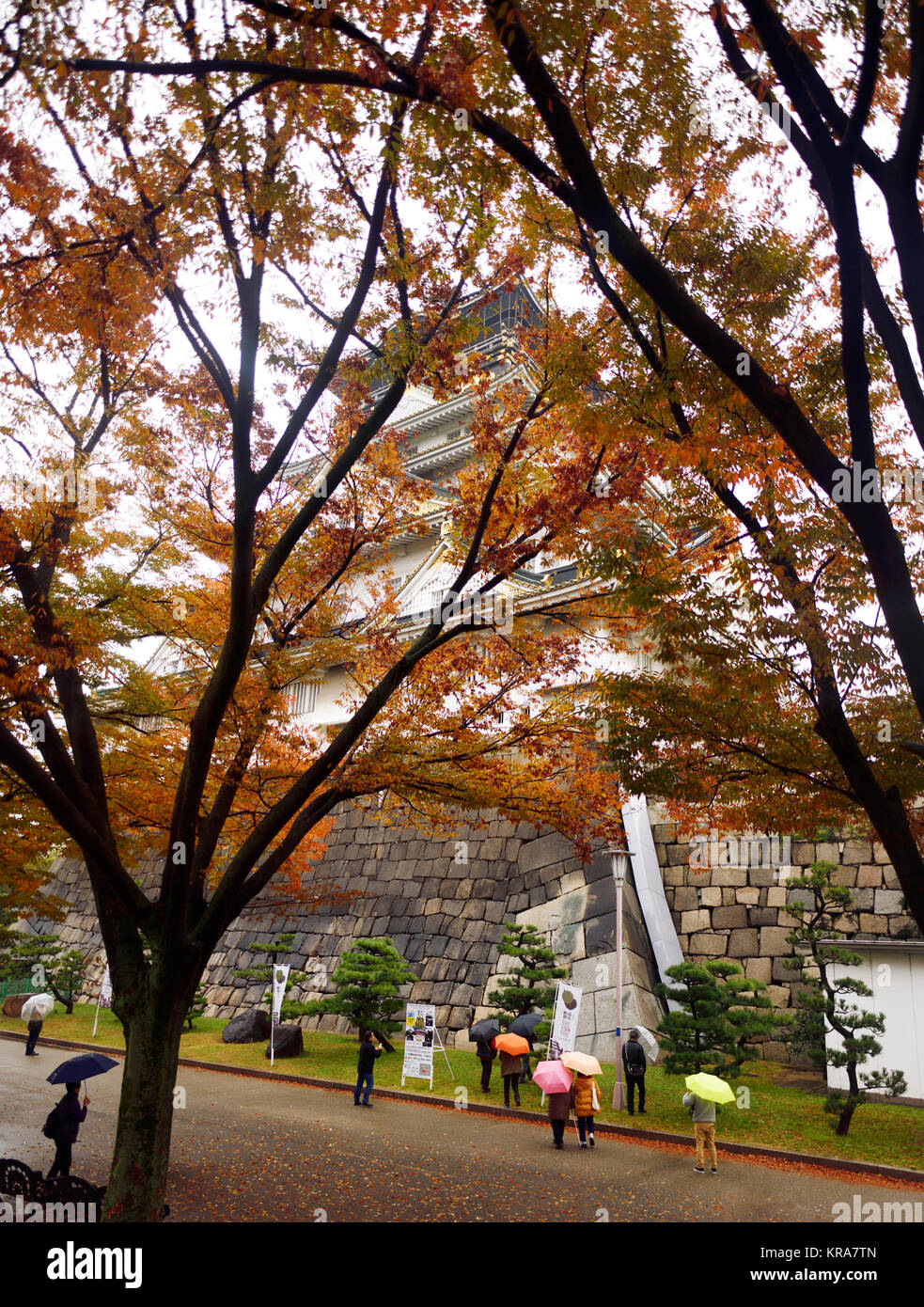 Persone con ombrelloni presso il Castello di Osaka vista storico, Osakajo, nascosta dietro colorato di rosso le foglie su un tranquillo misty piovosa mattinata d'autunno. Osaka, Foto Stock