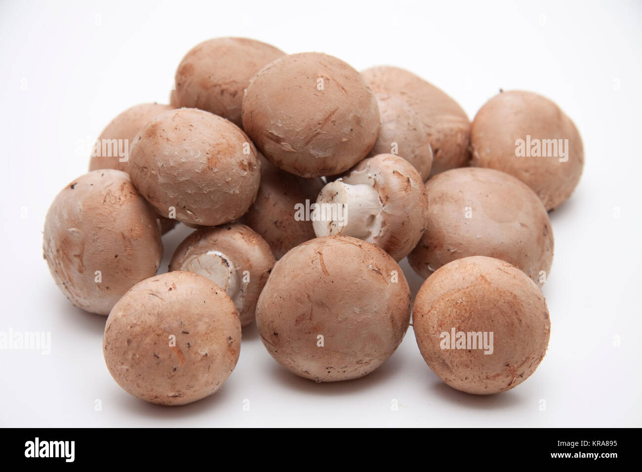 Rosolare gli champignon Foto Stock