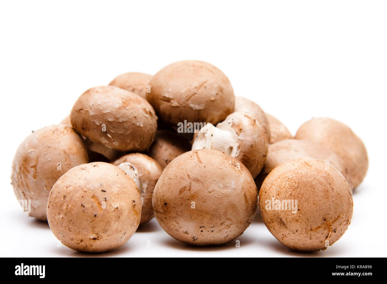 Rosolare gli champignon Foto Stock