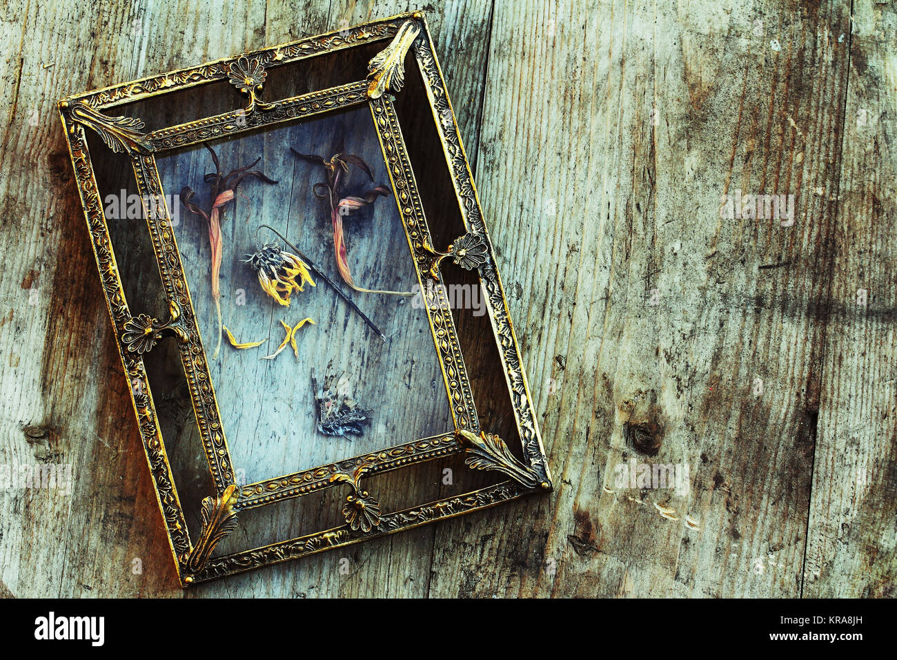 Fiori secchi e una farfalla morto in un vecchio ottone cornice immagine Foto Stock