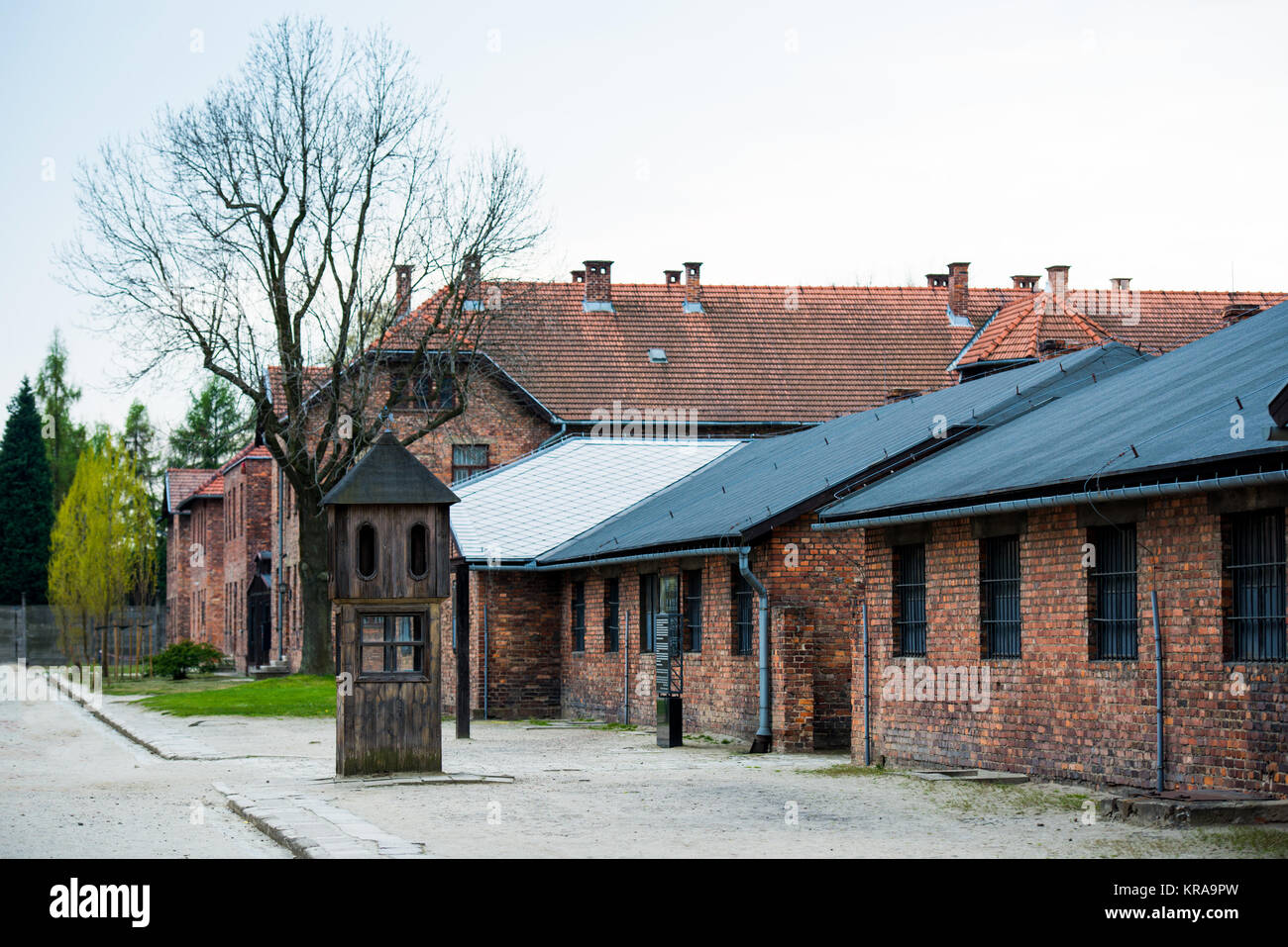 Campo di concentramento di Auschwitz Foto Stock