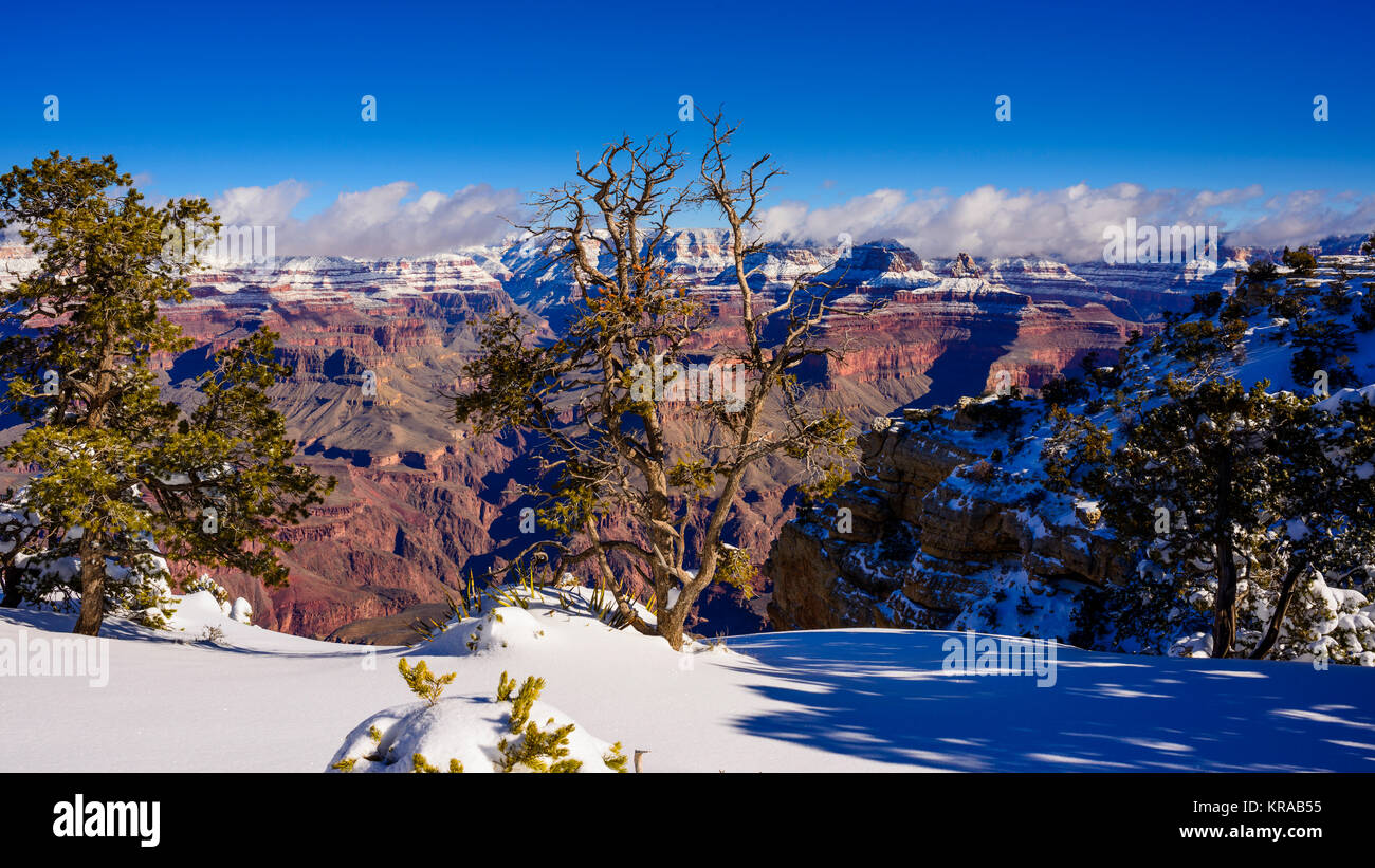 Parco Nazionale del Grand Canyon, South Rim in inverno, Arizona. Foto Stock