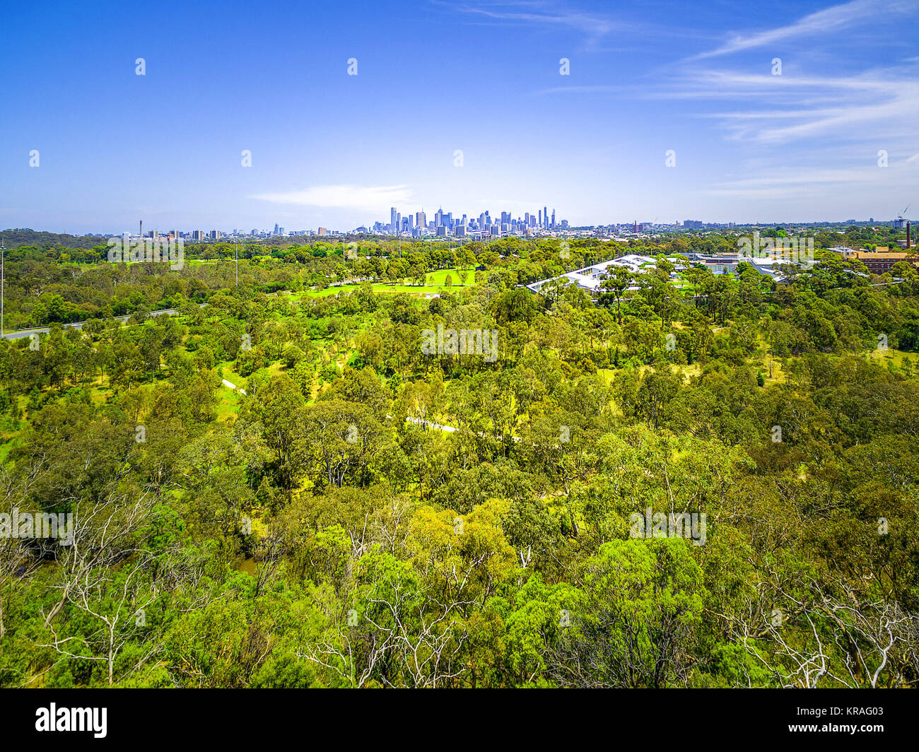Vista aerea del lussureggiante parco verde e il CBD di Melbourne e grattacieli sulla luminosa giornata di sole Foto Stock