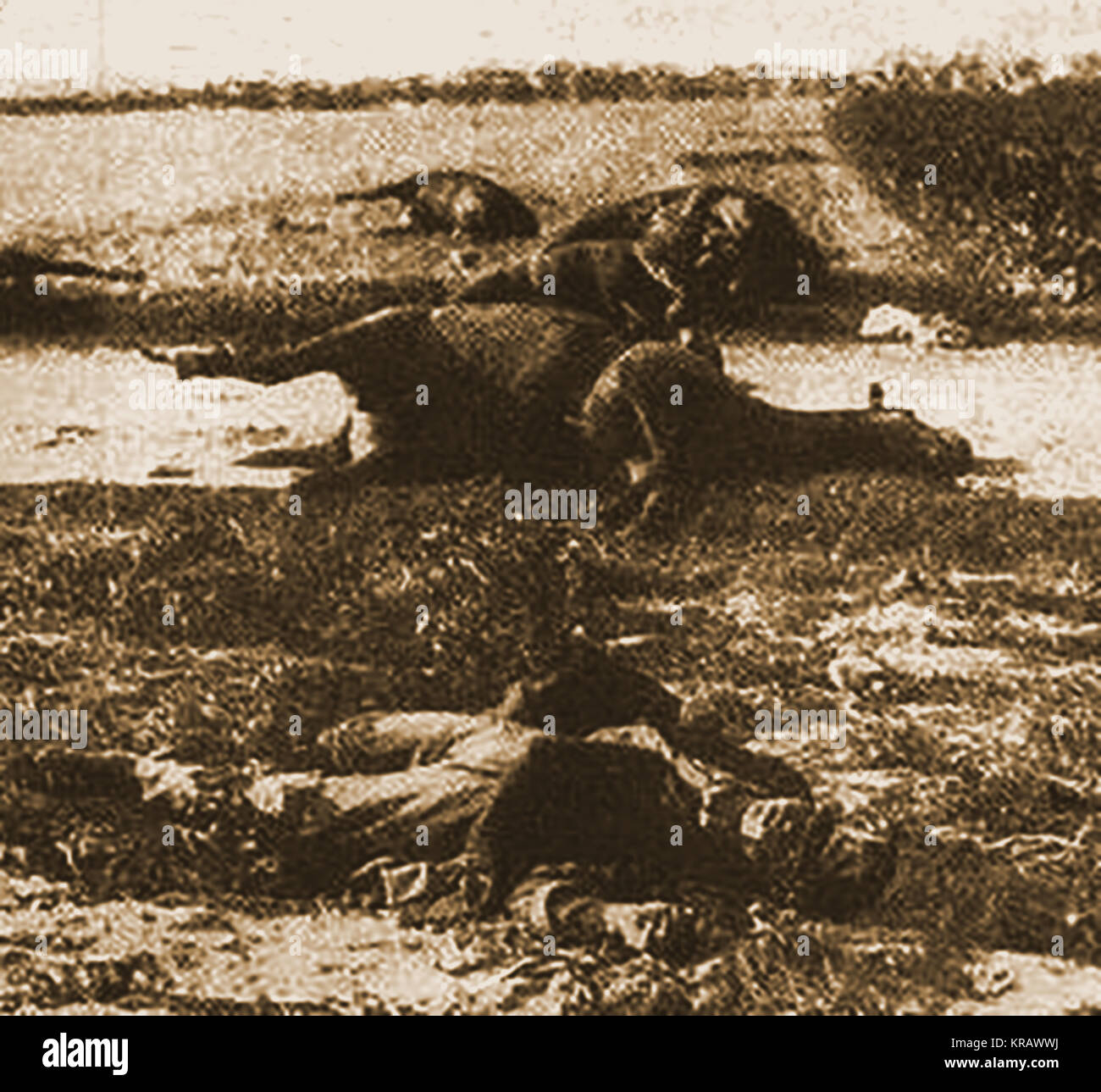 La guerra mondiale una fotografia - Strage dopo la battaglia di Haelen - un tedesco e il suo cavallo giacciono morti - da una rivista del tempo Foto Stock