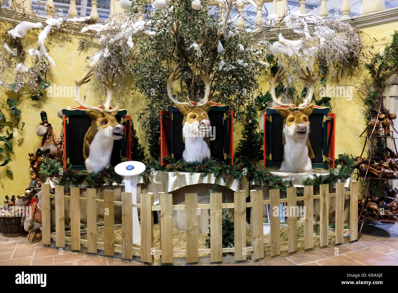 Trentham Gardens, Natale Foto Stock