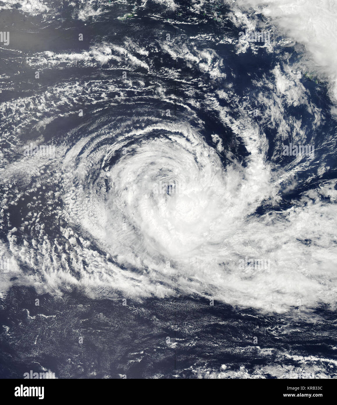 Gelsomino Feb 12 2012 0155Z Foto Stock