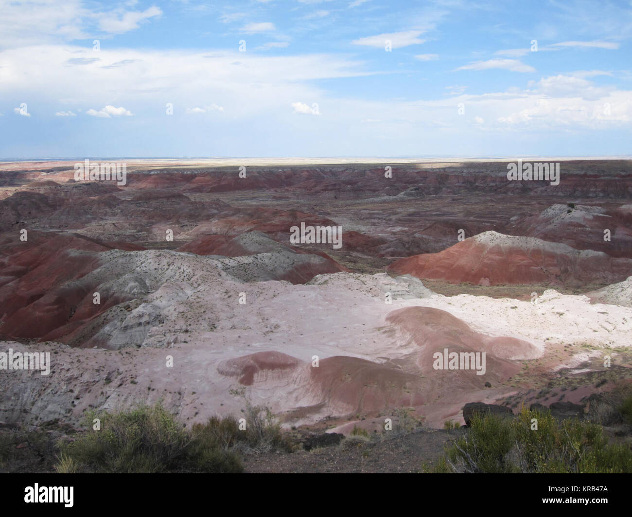 L'Arizona Deserto Dipinto, situato tra il Grand Canyon e il Parco Nazionale della Foresta Pietrificata, è un buon modello per il terreno badlands trovati su Marte. Credito: NASA/GSFC/ambra Keske ------ quasi Mars nel Grand Canyon, NASA Goddard stagisti sperimentare un po' di Marte sulla terra. Quando la NASA la curiosità rover inviato indietro le prime immagini del monte Sharp su Marte, la somiglianza alla Terra del Grand Canyon è stato sorprendente. Il paesaggio scolpito alla base del Monte Sharp è riempito con buttes, mesas e colline, i loro strati spessi prominente anche a distanza. I due terreni sono sufficientemente simili Foto Stock