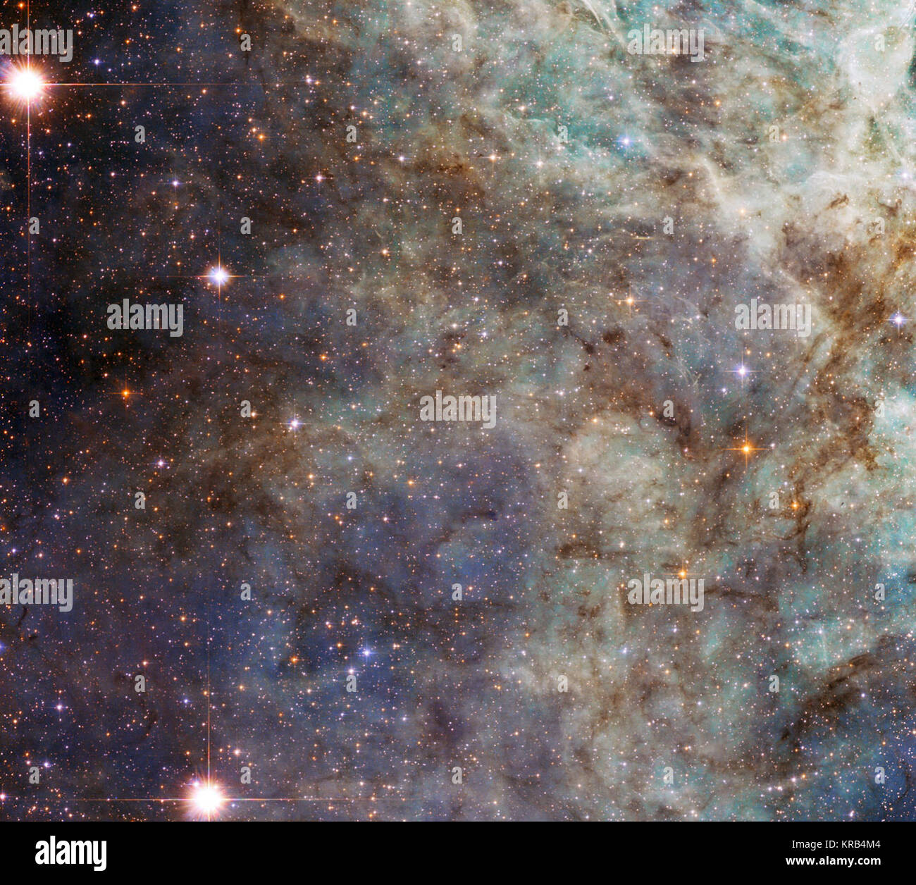 Ruotando il suo 2,4-metro occhio al Tarantula Nebula, la NASA/ESA Telescopio Spaziale Hubble ha preso questa close-up della periferia del cloud principale della nebulosa. Il luminoso wispy strutture sono la firma di un ambiente ricco di ionizzare il gas idrogeno, chiamato H II dagli astronomi. In realtà questi appaiono in rosso ma la scelta dei filtri e i colori di questa immagine, che include le esposizioni sia nel visibile e la luce a infrarossi, rendono il gas appaiono in verde. Queste regioni contengono formata di recente stelle che emettono potenti radiazione ultravioletta che ionises il gas intorno a loro. Queste nubi effimero Foto Stock